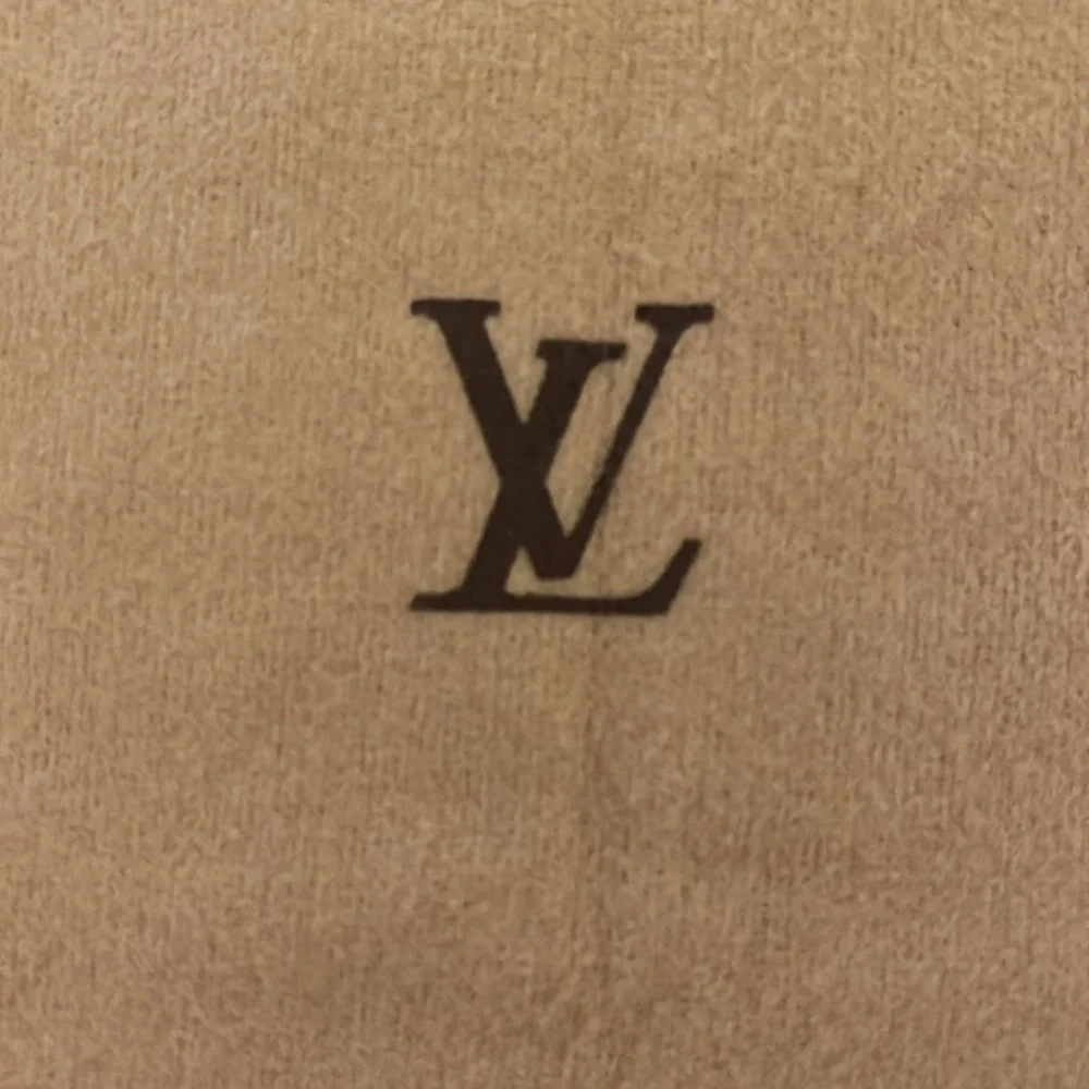 Lost in the 🔥 Louis Vuitton Dust Bag - Picture 7 of 7